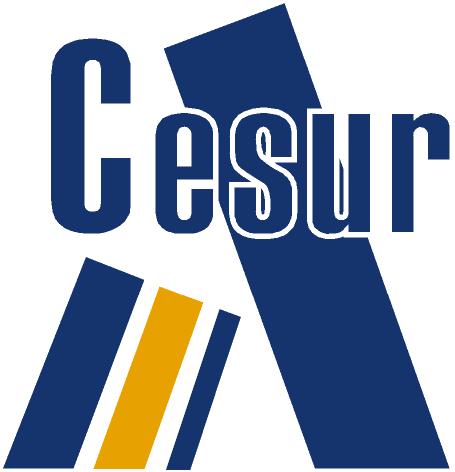 Ver cursos de C.P.D Cesur P.T.A