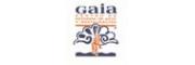 Cursos y Masters de GAIA CENTRO DE ESTUDIOS DE ARTE Y RESTAURACION