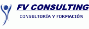 fvconsulting