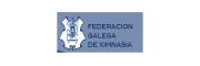 Ver CURSOS y MASTERS de Federacion Galega de Ximnasia